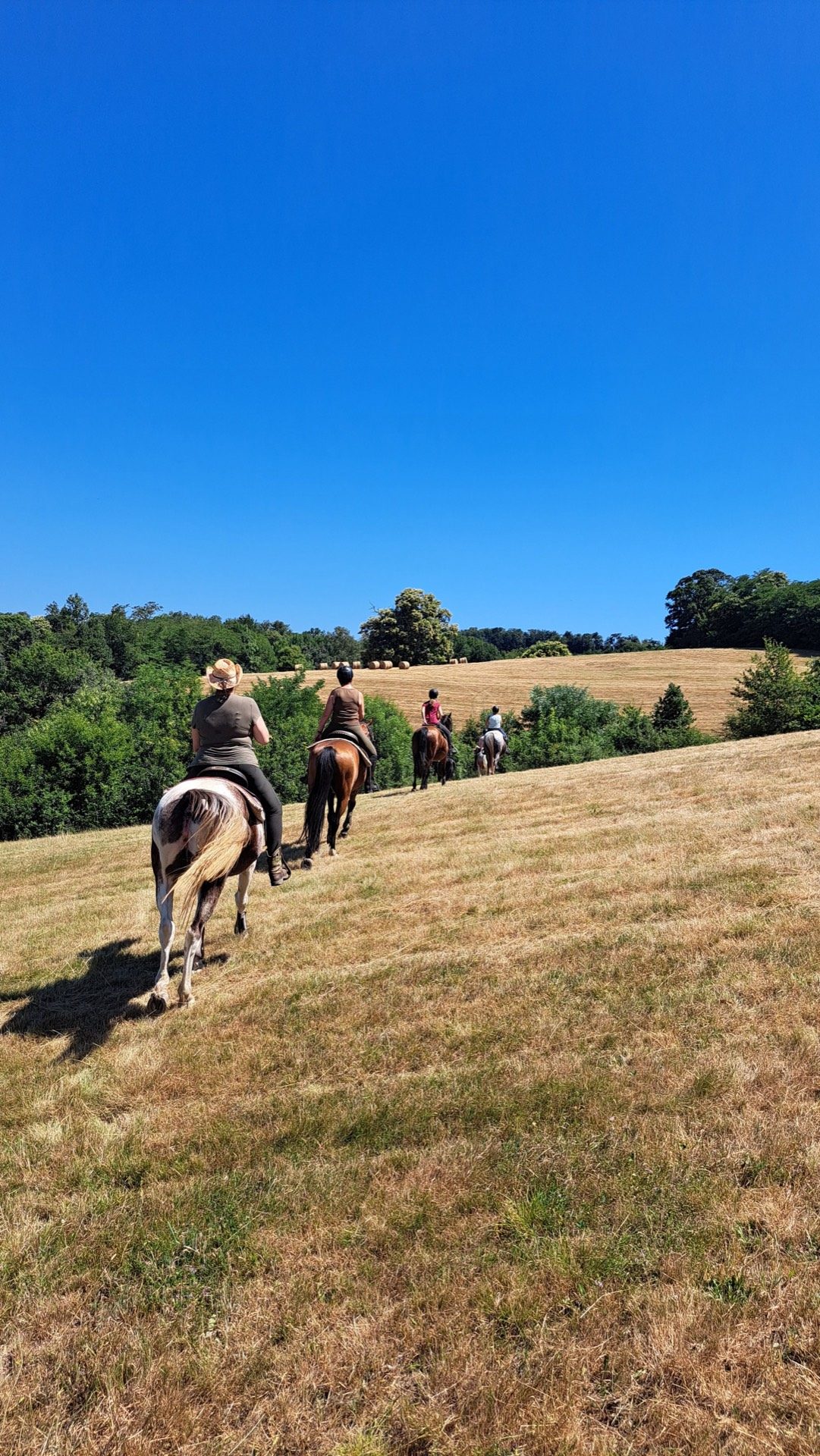 Groepsbuitenrit te paard door de velden